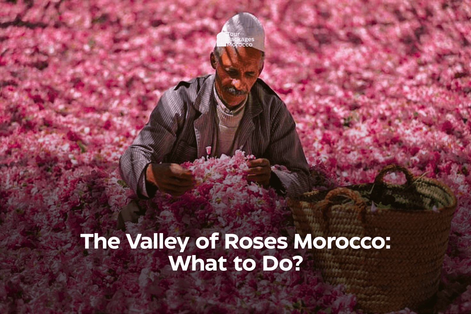 The Valley of Roses Morocco: What to Do?